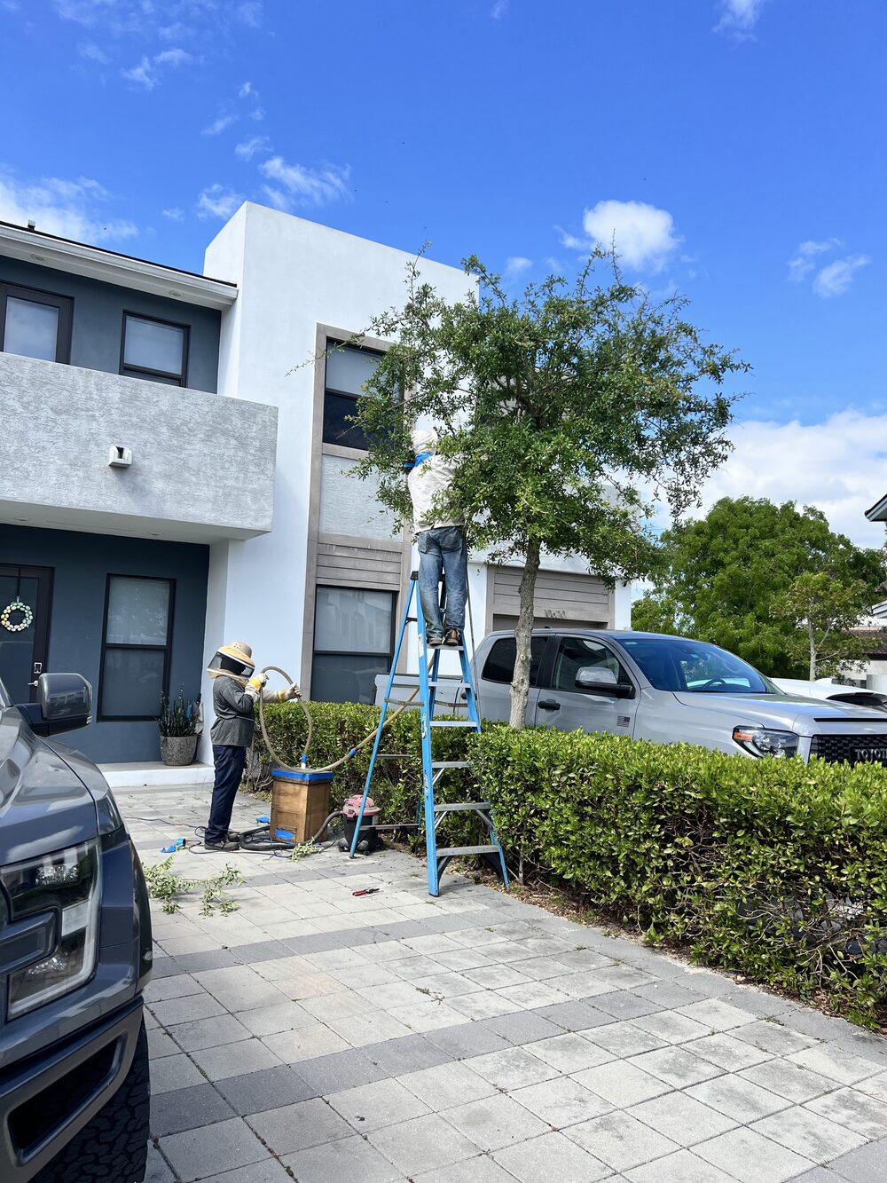 Tree trimming and pest treatment service at a managed property
